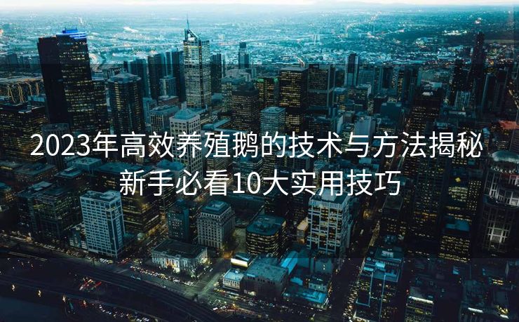2023年高效养殖鹅的技术与方法揭秘 新手必看10大实用技巧