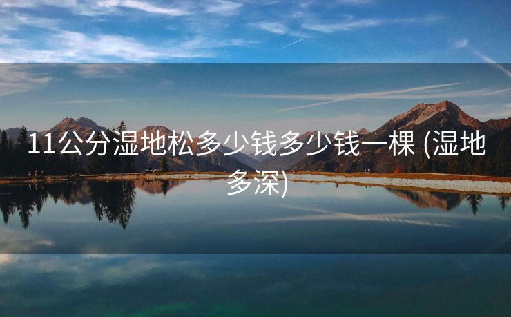 11公分湿地松多少钱多少钱一棵 (湿地多深)