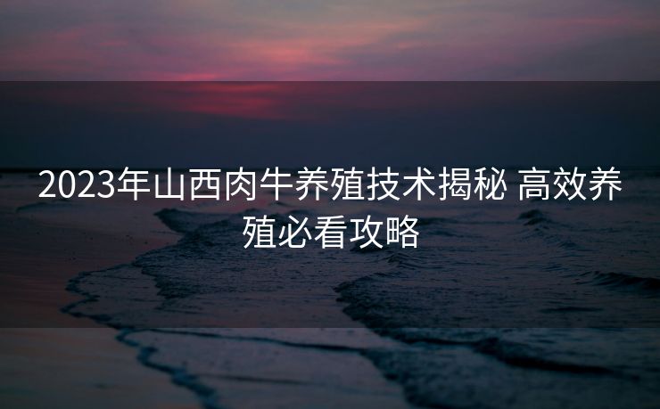 2023年山西肉牛养殖技术揭秘 高效养殖必看攻略