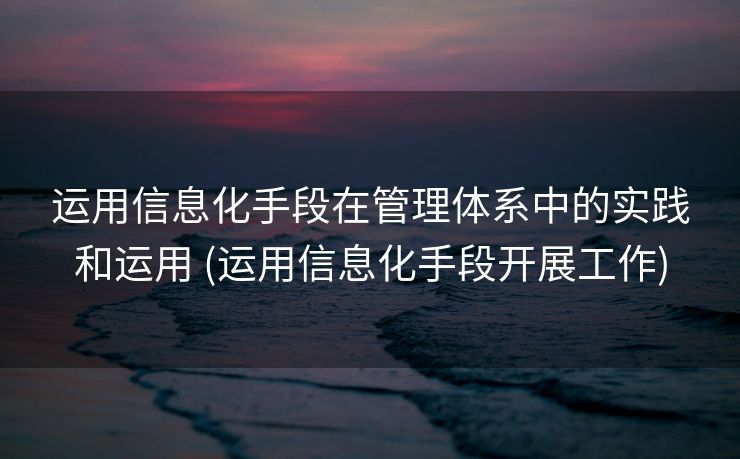 运用信息化手段在管理体系中的实践和运用 (运用信息化手段开展工作)