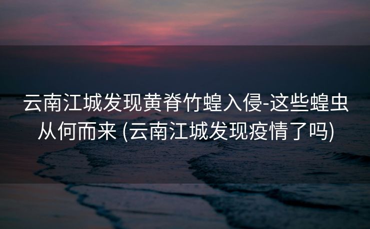 云南江城发现黄脊竹蝗入侵-这些蝗虫从何而来 (云南江城发现疫情了吗)