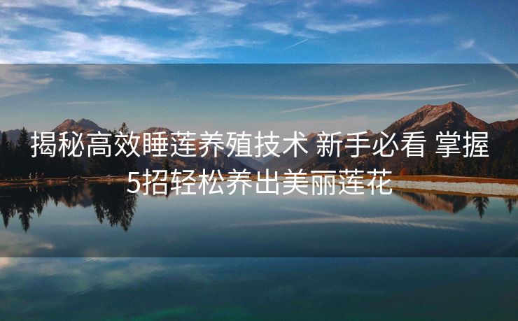 揭秘高效睡莲养殖技术 新手必看 掌握5招轻松养出美丽莲花