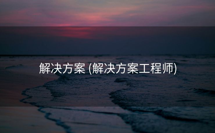 解决方案 (解决方案工程师)