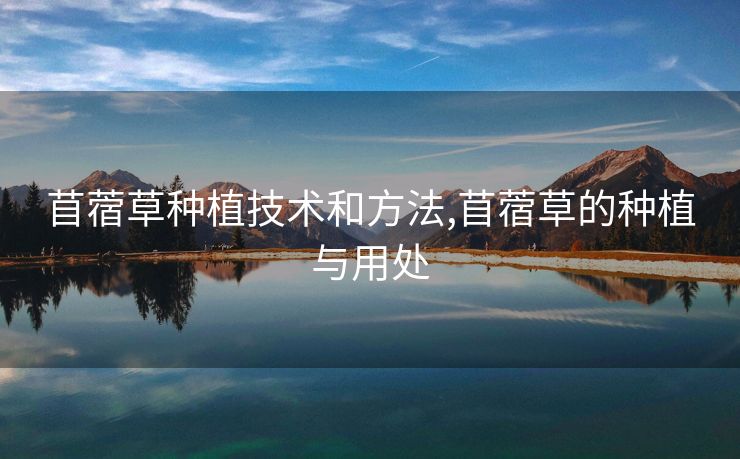 苜蓿草种植技术和方法,苜蓿草的种植与用处